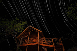 Tree House Lodge with star trails