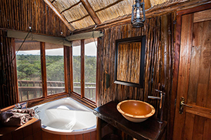 Tree House bathroom with tub and shower